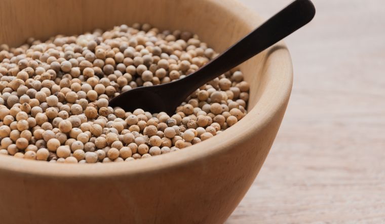 Giá tiêu hôm nay 7/9/2023: Thị trường nội địa tăng ngày thứ 3 liên tiếp