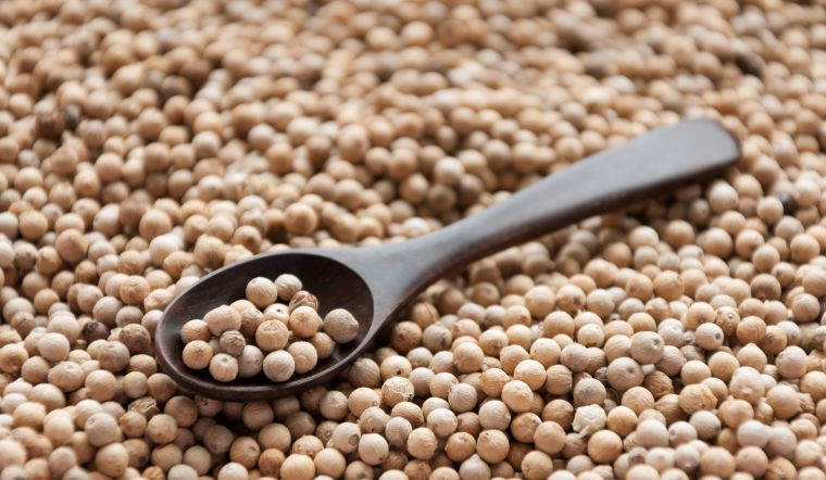 Giá tiêu hôm nay 8/9/2023: Ổn định sau 3 ngày tăng liên tiếp