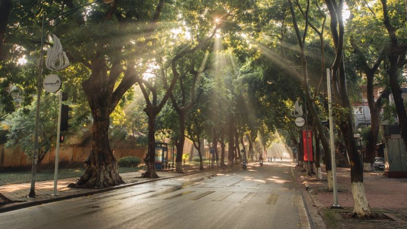 Ánh nắng mùa thu trên đường Phan Đình Phùng