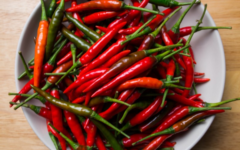 Giá ớt hôm nay 09/09/2023