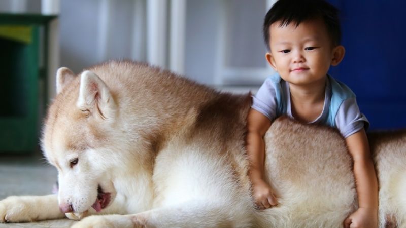 Cung Xử Nữ (22/08 - 22/09)