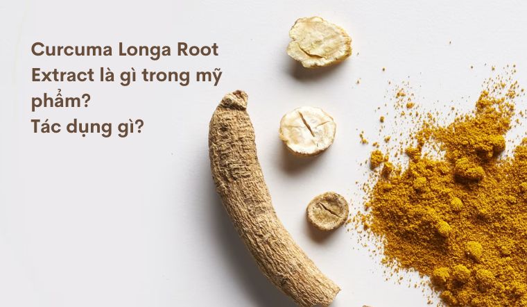 Curcuma Longa Root Extract là gì trong mỹ phẩm? Tác dụng gì?