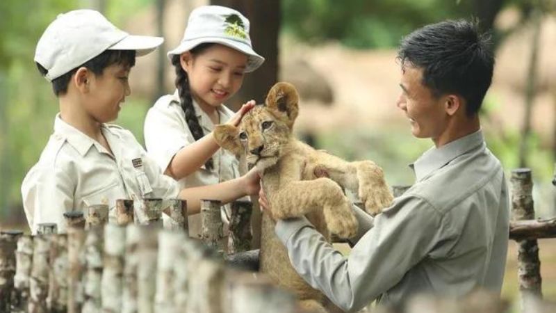 Bảo vệ bản thân trước động vật hoang dã