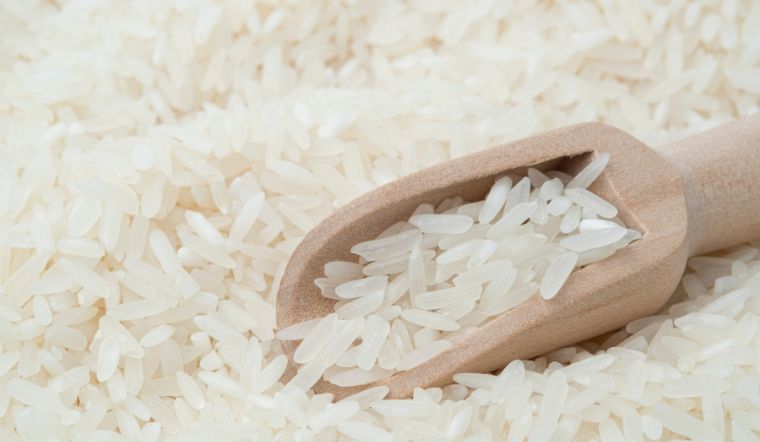 Giá lúa gạo hôm nay 11/9/2023: Vài giống gạo tăng 1.000 đồng/kg
