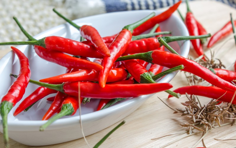 Giá ớt hôm nay 11/09/2023