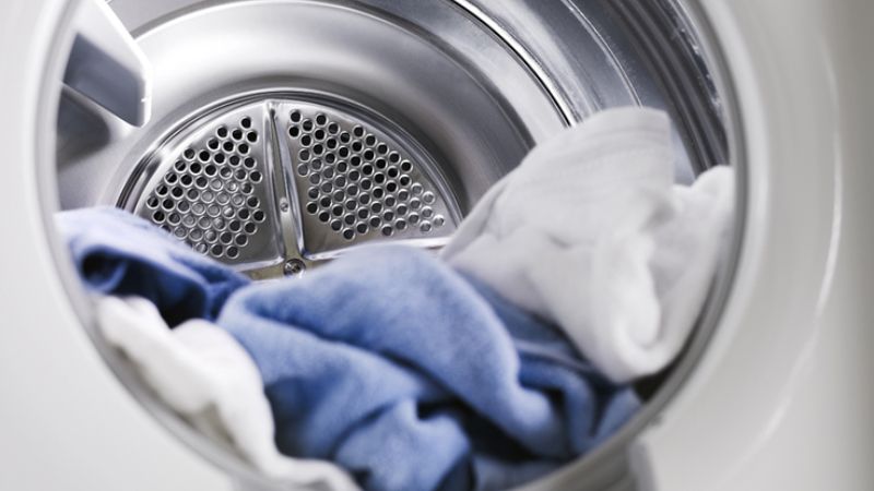 Mold in clothes dryers