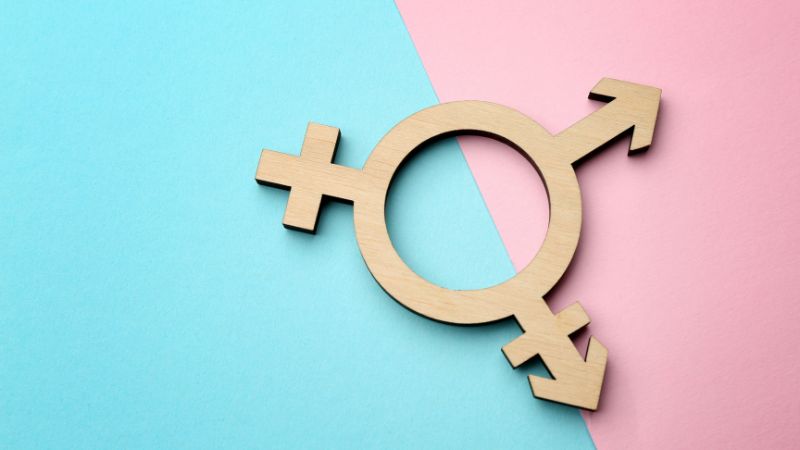 Transgender miêu tả những người có bản dạng giới không trùng khớp với giới tính mà họ cảm nhận