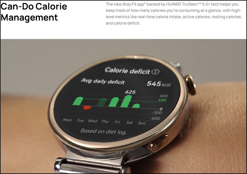 Tính năng Stay Fit cho phép khả năng theo dõi lượng tiêu thụ calo theo thời gian thực