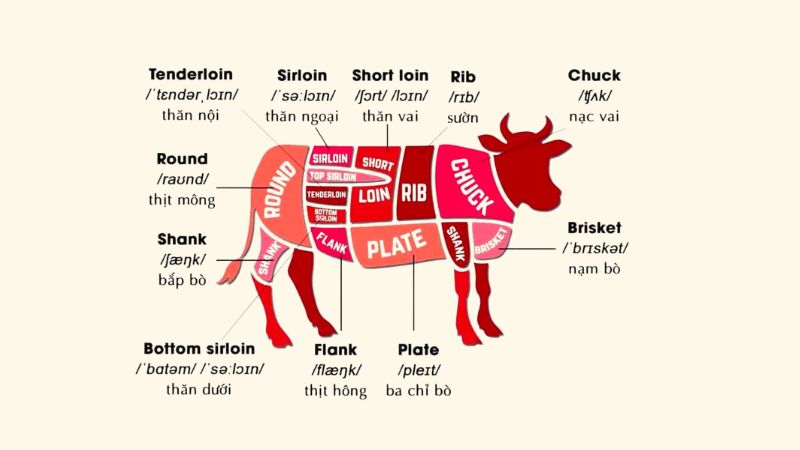 Các loại thịt thăn bò