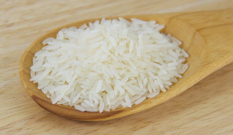 Giá lúa gạo hôm nay 15/9/2023: Không có sự thay đổi
