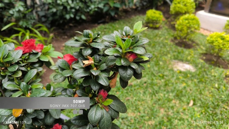 Ảnh chụp từ camera sau 50 MP của Xiaomi 13T