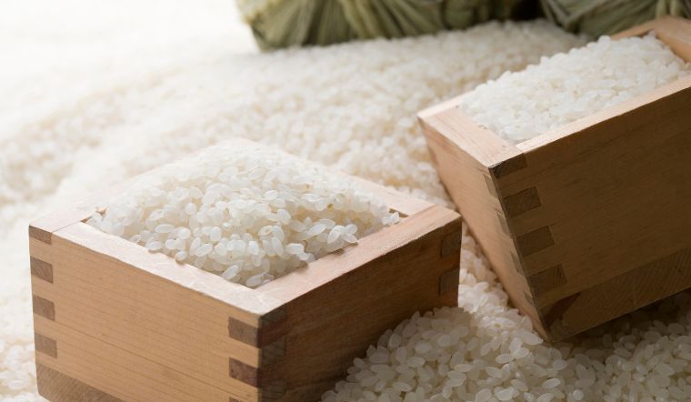Giá lúa gạo hôm nay 16/9/2023: Tiếp tục giữ mức ổn định