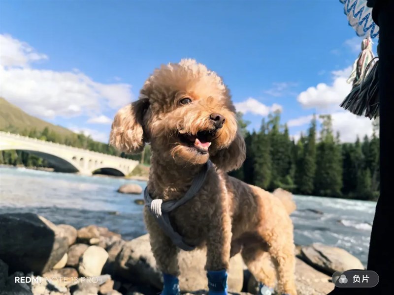 Hình ảnh được chụp từ Redmi Note 13 Pro+ Hình ảnh được chụp từ Redmi Note 13 Pro+