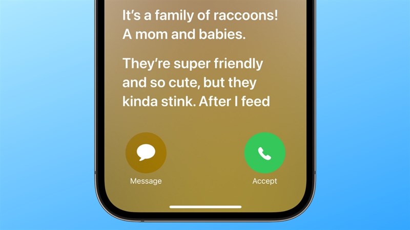 Apple đã thêm vào chức năng hỗ trợ thư thoại đối với cuộc gọi âm thanh và video FaceTime