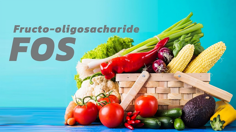 Fructooligosaccharides có trong thực phẩm nào?