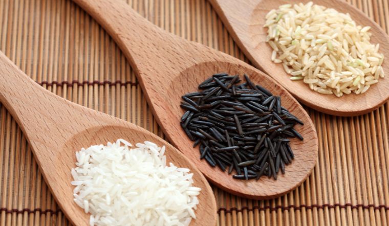Giá lúa gạo hôm nay 22/9/2023: Giảm giá ở nhiều giống lúa