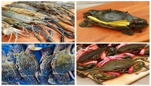 Giới thiệu các loại hải sản Việt Nam bán tại Bách hoá XANH