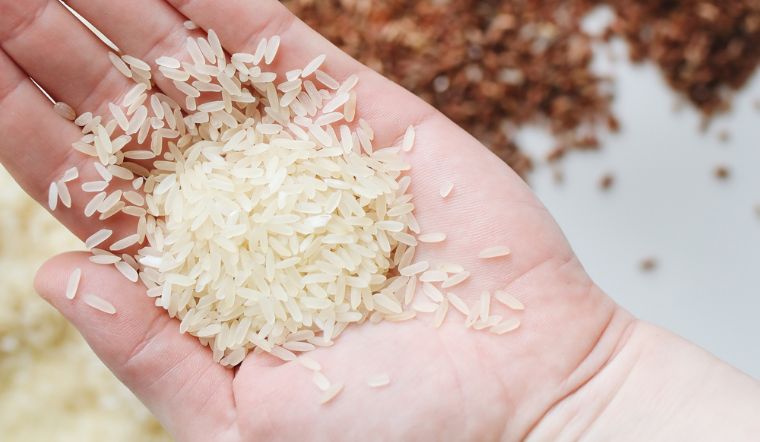 Giá lúa gạo hôm nay 25/9/2023: Gạo thơm Jasmine tăng 1.000 đồng/kg