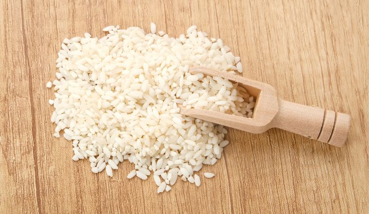 Giá lúa gạo hôm nay 26/9/2023: Vài giống lúa, nếp giảm 100 đồng/kg