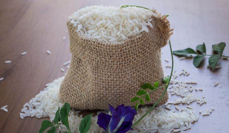 Giá lúa gạo hôm nay 02/10/2023: Nhiều giống lúa thay đổi