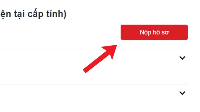 Cách làm hộ chiếu online cho trẻ dưới 14 tuổi