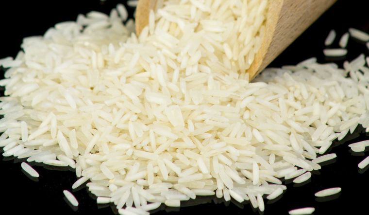 Giá lúa gạo hôm nay 04/10/2023: Duy trì đà đi ngang