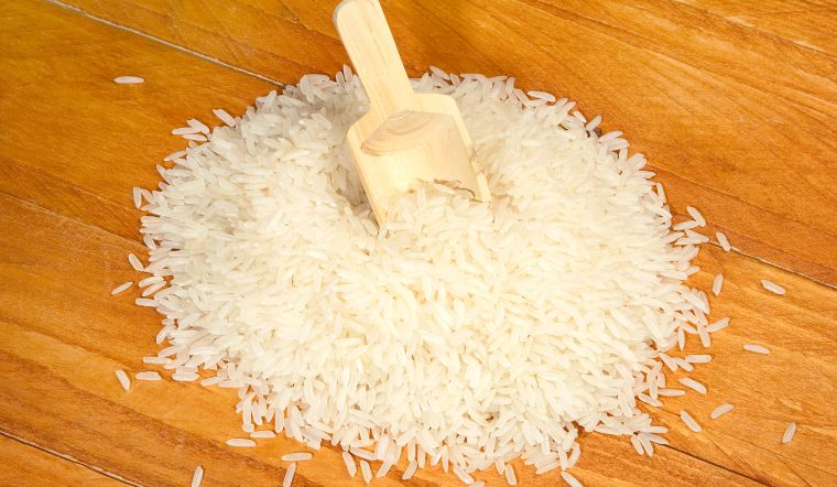 Giá lúa gạo hôm nay 05/10/2023: Duy trì mức ổn định