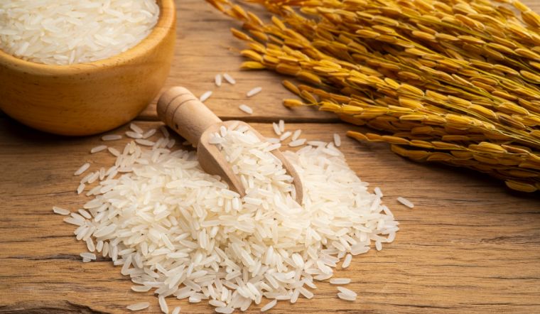 Giá lúa gạo hôm nay 06/10/2023: Tiếp tục ở mức ổn định