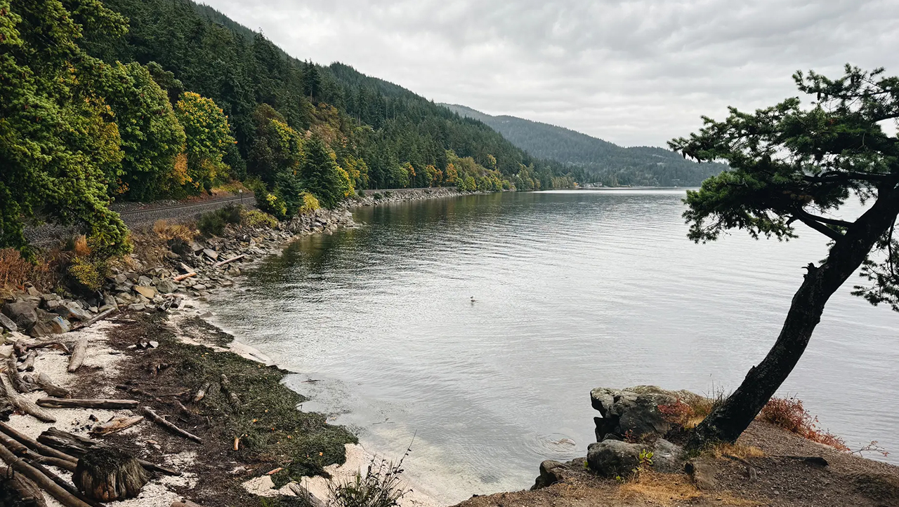 Đánh giá camera iPhone 15