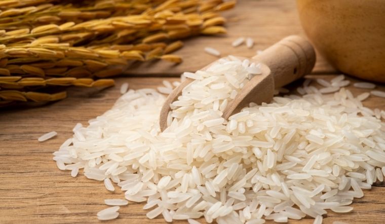 Giá lúa gạo hôm nay 07/10/2023: Ổn định trong ngày cuối tuần