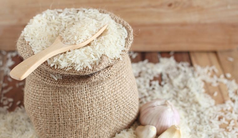 Giá lúa gạo hôm nay 09/10/2023: Nàng Hoa 9 giảm 200 đồng/kg