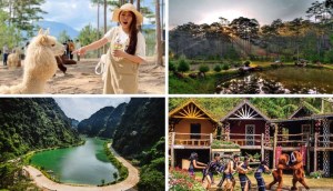 Du lịch Lạc Dương (Lâm Đồng): 7 địa điểm được ưa chuộng