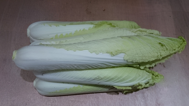 What is red cabbage?