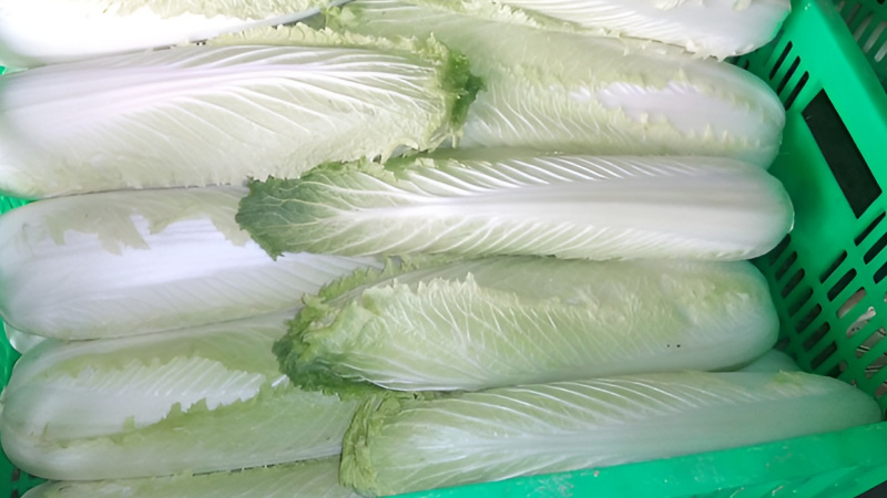Benefits of red cabbage