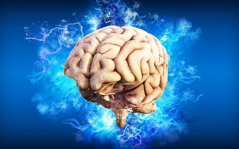 Nguyên nhân của hiện tượng Jamais Vu
