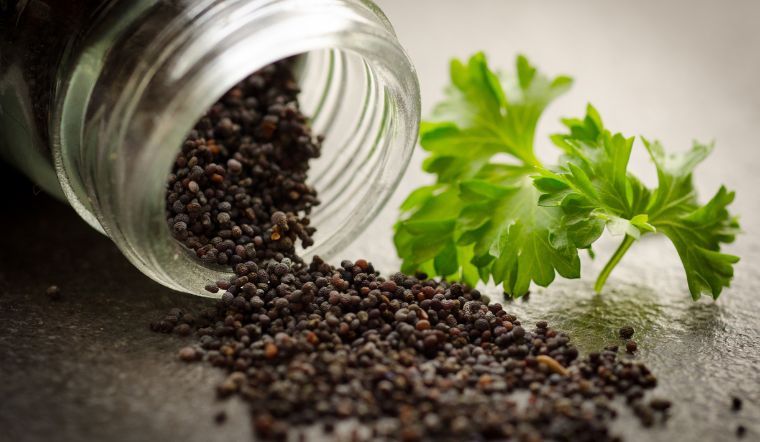 Giá tiêu hôm nay 12/10/2023: Giảm nhẹ ở một số địa phương trọng điểm