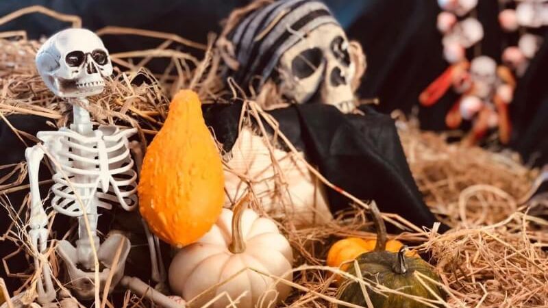 Skeleton and Skull are Halloween symbols