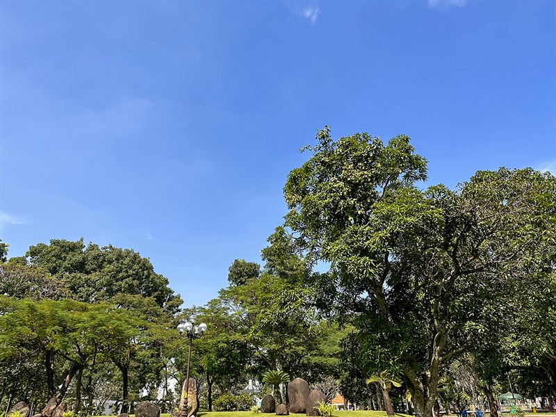 Ảnh chụp trong điều kiện đủ sáng