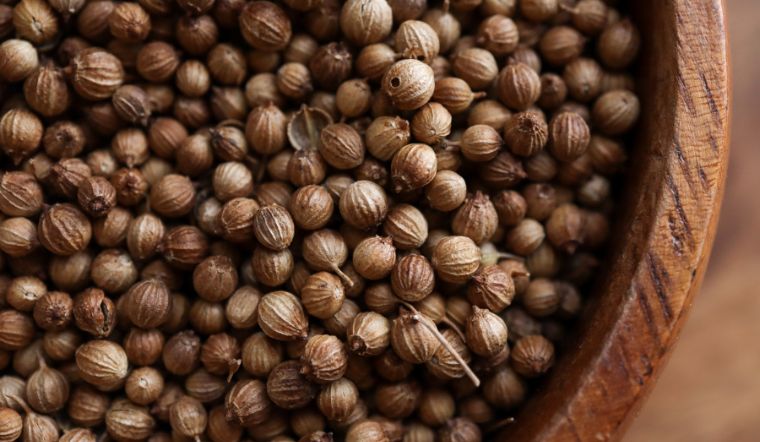 Giá tiêu hôm nay 14/10/2023: Tiếp tục duy trì ổn định