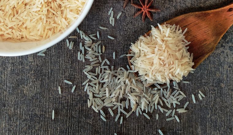 Giá lúa gạo hôm nay 14/10/2023: Đi ngang trong ngày cuối tuần