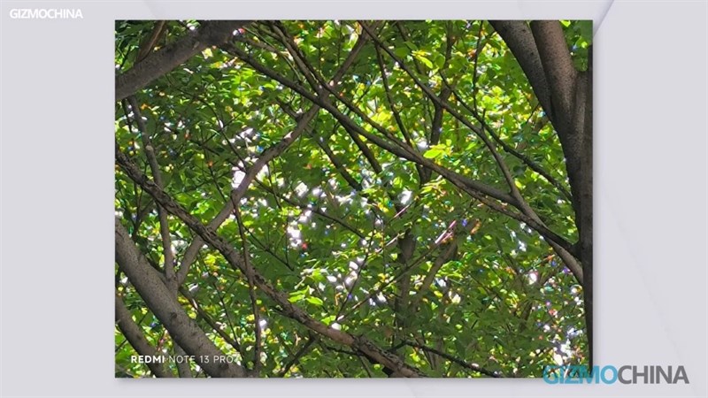 Hiện tượng viền màu tím trên ảnh chụp bằng camera chính rất rõ và đó là một lỗi.