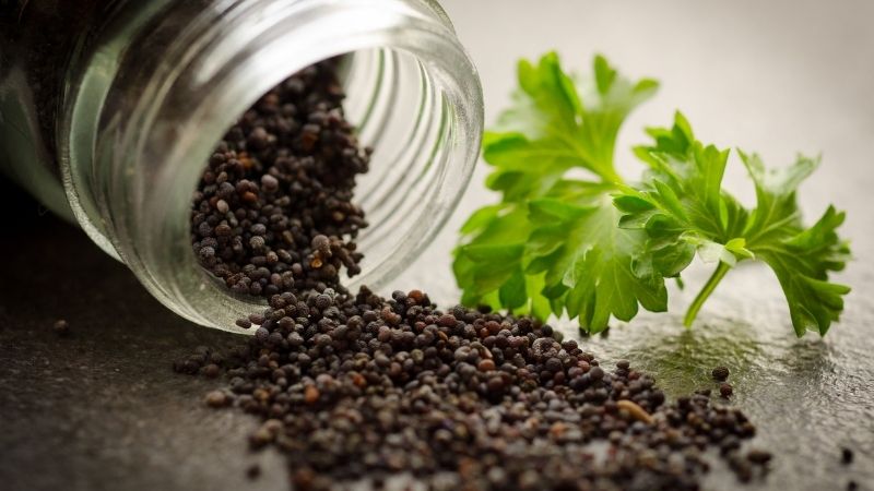 Giá tiêu thế giới