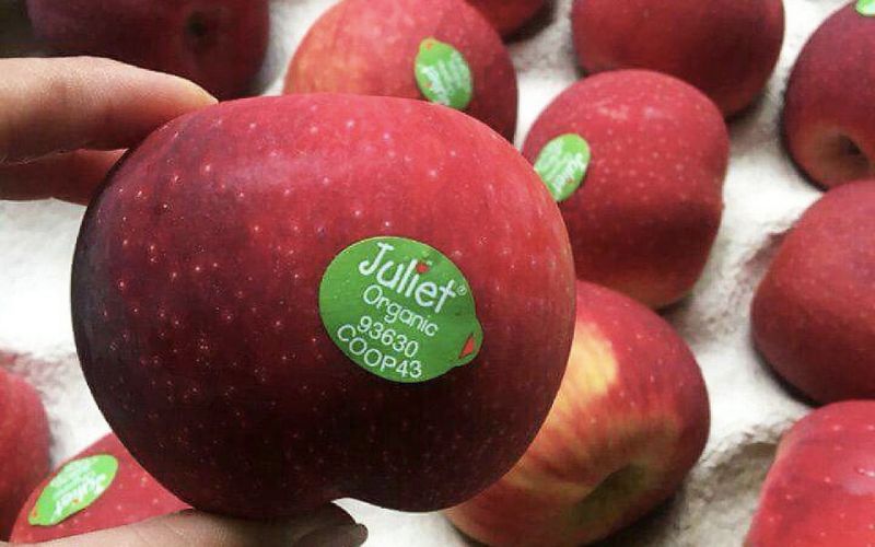 Táo Juliet Organic Pháp Táo Juliet Organic Pháp