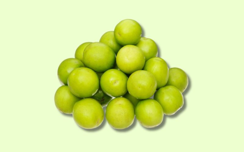 Táo Ninh Thuận Táo Ninh Thuận