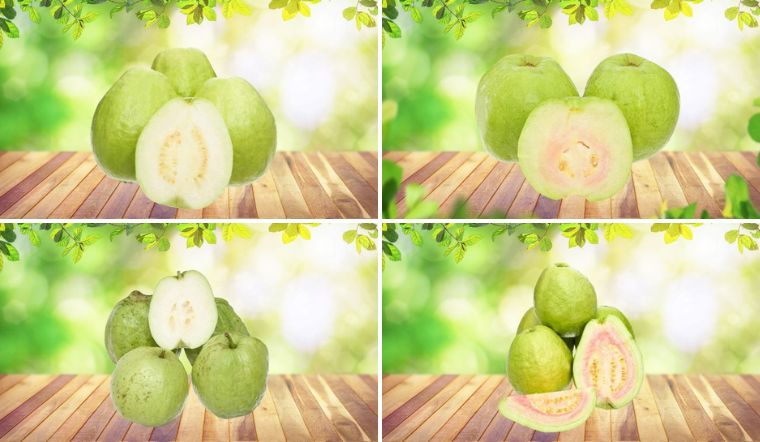 Tổng hợp các loại ổi bán tại Bách hoá XANH