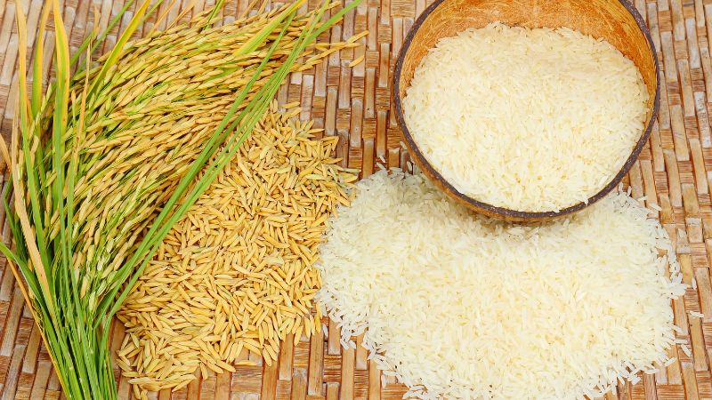 Giá gạo hôm nay 18/10