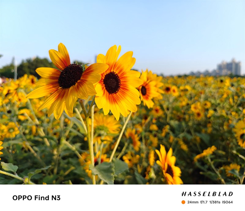 OPPO Find N3 sẽ khiến bạn hài lòng về hệ thống camera