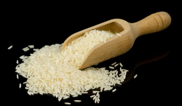 Giá lúa gạo hôm nay 23/10/2023: Nhiều giống lúa tăng mạnh