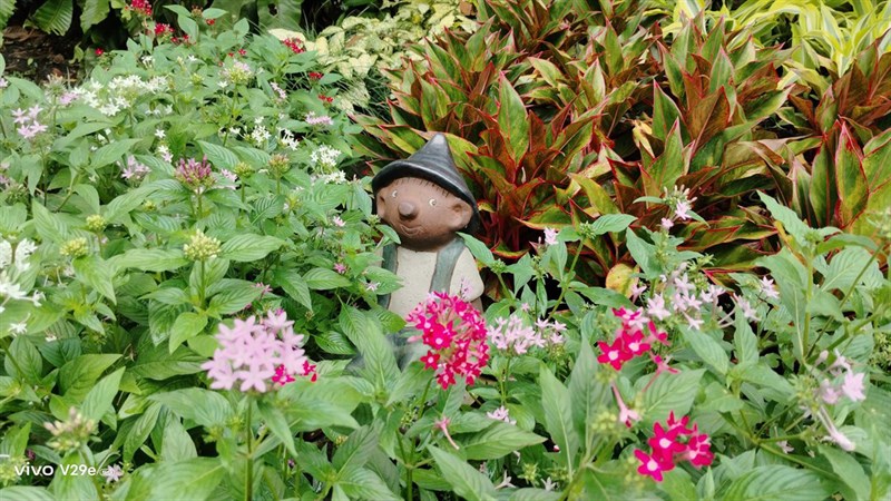 Với cụm camera độ phân giải cao, ảnh chụp của Vivo V29e 5G có chất lượng cao với độ chi tiết rất tốt Với cụm camera độ phân giải cao, ảnh chụp của Vivo V29e 5G có chất lượng cao với độ chi tiết rất tốt