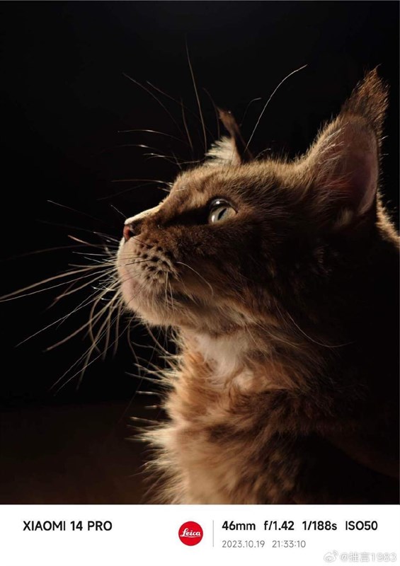 Ảnh chụp bởi camera của Xiaomi 14 Pro Ảnh chụp bởi camera của Xiaomi 14 Pro